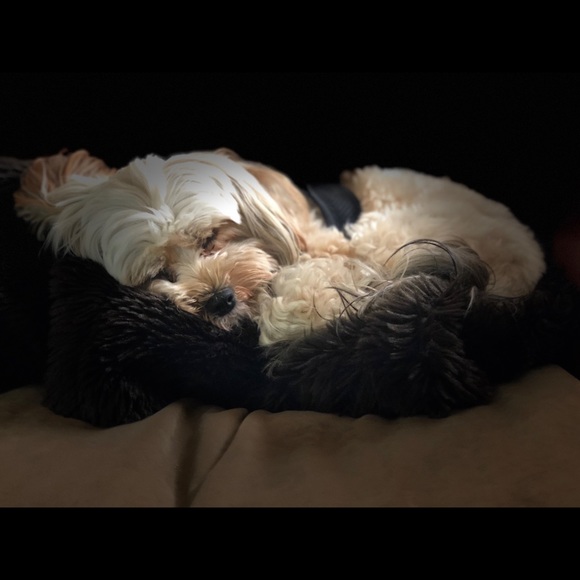 Meet your Posher, Rachel - Picture 1 of 1